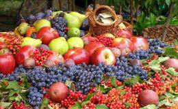 水果新零售服务提供商果小小完成约300万元种子轮融资