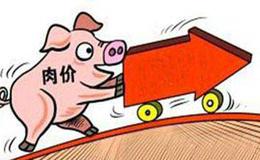 猪肉贵 吃“素肉”？美国“人造肉”盯上中国内地市场 你会接受吗？