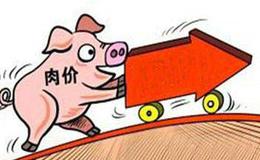 猪肉保供稳价：合肥已储备活猪三万头冻猪肉三百吨