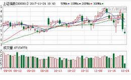 长阴巨挫藏不为人知隐情 国家队为何袖手旁观？