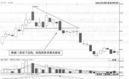 <em>丰乐种业</em>(000713)的日K线走势图分析