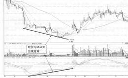 深国商(600548)的日K线走势图(I)分析