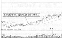 大连三垒(002621)的日K线走势图分析