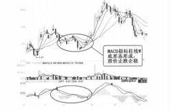 技术指标买入信号7：MACD指标柱线W底形态的案例解析