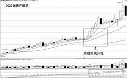 双四线开花——通产丽星