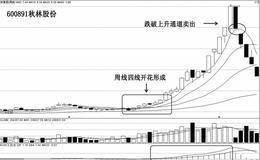 双四线开花——秋林股份