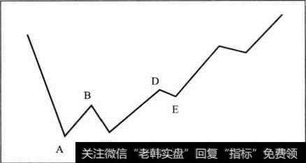 底型形态模型