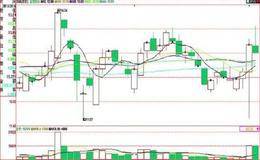<em>涨跌停板制度</em>下量价研判的技巧