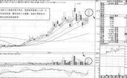 合肥三洋短线操盘案例策略分析