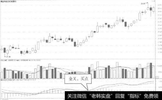 横店东磁日K线