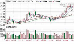 84亿并购20家购物中心 印力加速商业区域布局