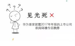 读懂上市公司:见光死！年报第一股为何跌停？