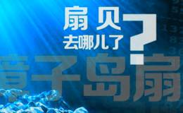 扇贝重演“去哪儿” 证监会对<em>獐子岛</em>进行调查