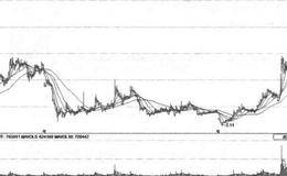 抓住强势股横盘的黑马股