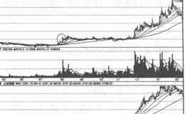 利用突破底部形态抓出牛市中的大牛股