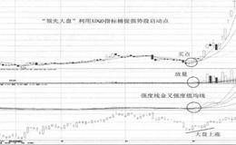 强市中利用XDQD指标<em>捕捉强势股启动点</em>技术要点