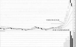 振荡市中同步于大盘形态中捕捉龙头股案例分析