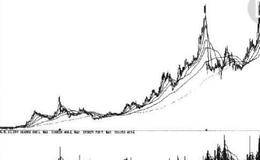 在轮番炒作中巧选黑马股