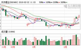 天风证券：<em>天齐锂业</em>资源掌控力行业领先