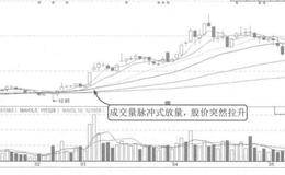 成交量反映主力动向的案例解读