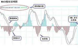 散户要如何利用MACD来炒股？