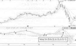  MACD指标止损法的案例详解