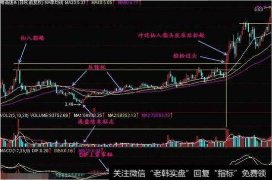 仙人指路的图解案例分析