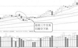 财务报表附注编制形式