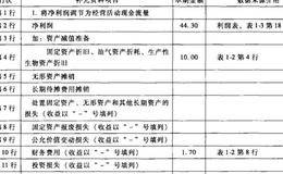 会计报表重要项目的明细资料