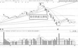 不同报表使用者对财务报表分析的喜好差异分析