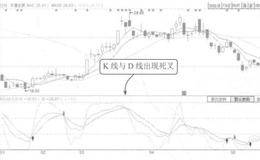 货币资金变动情况分析