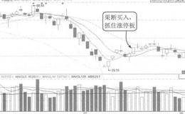 股本变动和未分配利润情况分析