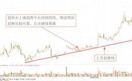 财务报表资本金收益率分析