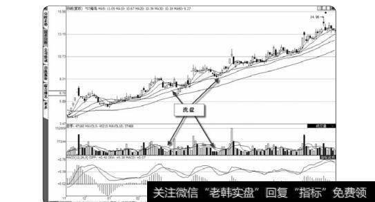 图3-60ST海鸟