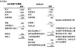 扣除调整税后的净经营利润的主要概念