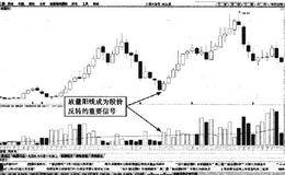 熊市调整结束后的见底信号