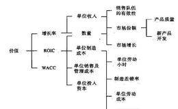 理解业务的经济联系，并确定潜在的价值驱动因素