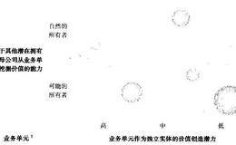 如何进行剥离:母公司与业务单元之间的契合度