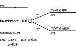 延迟投资的灵活性的价值