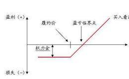 根据实物期权对灵活性进行分类:调整生产的期权