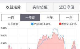 股票型基金和混合型基金哪个风险低？