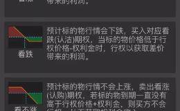 券商分析师眼中的股票期权是怎样的？