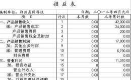 国际会计准则差异:合并报表