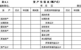 国际会计准则差异:衍生工具和保值会计