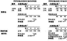 将新兴市场风险纳入估值