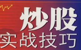 做大势庄家、做板块庄家、做个股庄家的区别是什么？