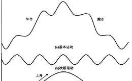 以反馈论证的方式预测市场