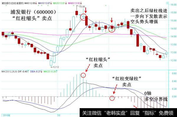 红柱缩头卖点