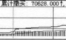 分时图下的技术指标:累计撤单