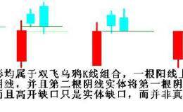 双飞乌鸦形态要怎么操作？能让远离套牢？